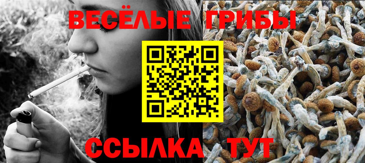 Псилоцибиновые грибы GOLDEN TEACHER Королёв