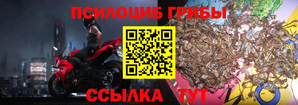Псилоцибиновые грибы MAGIC MUSHROOMS  Вход с VPN  купить   Королёв 
